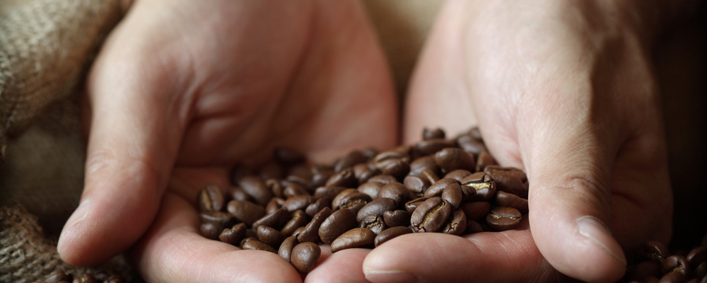 Hand holding coffee beans